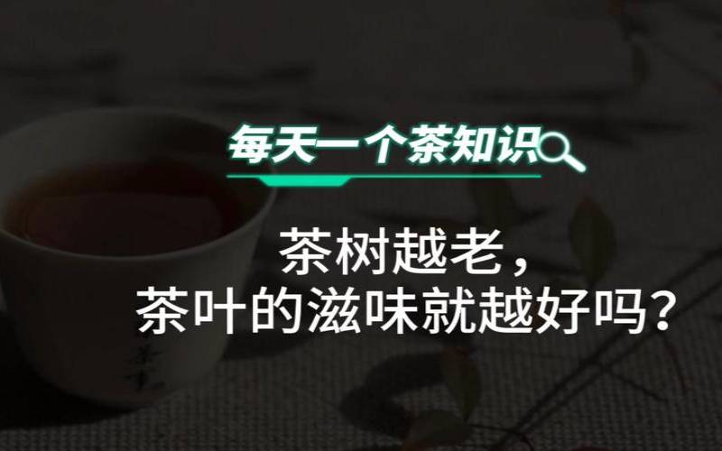 茶树年龄越久越好,茶叶也是年份久了好吗