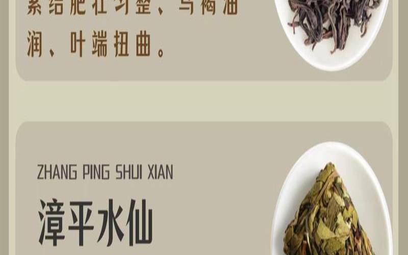 武夷水仙与凤凰水仙的区别,武夷水仙价格