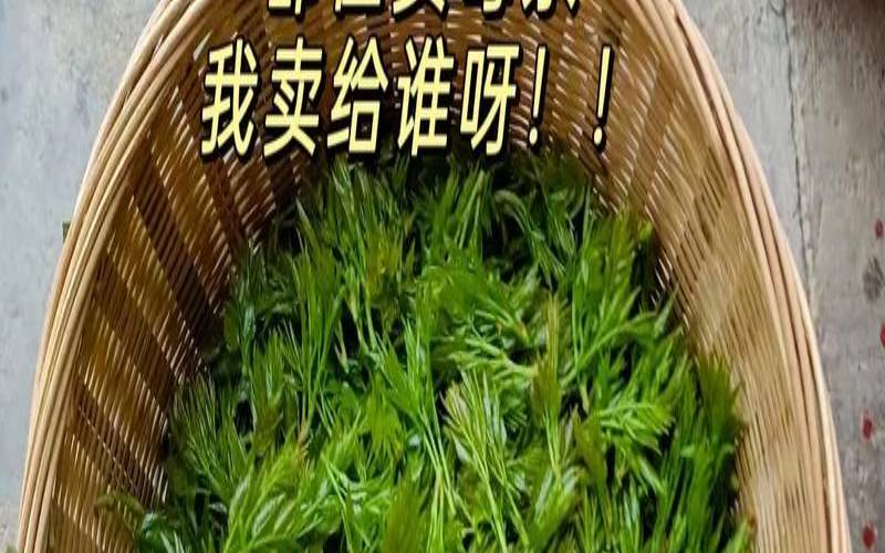 富硒藤茶是莓茶吗,富硒藤茶是什么植物 富硒藤茶是莓茶吗,富硒藤茶是什么植物