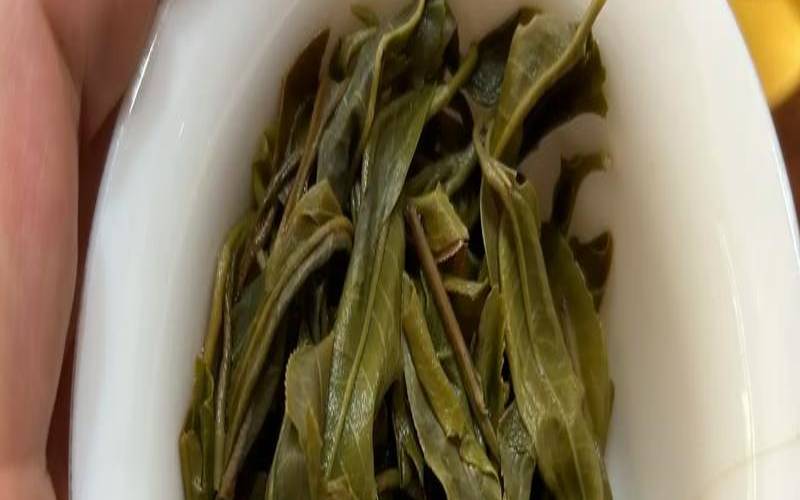 普洱茶叶泡水的味道,普洱茶为什么没有味道