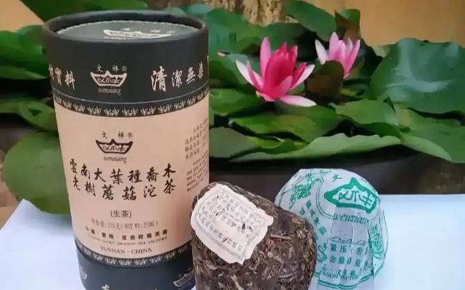 普洱茶是绿色食品吗,普洱生茶属于绿茶吗