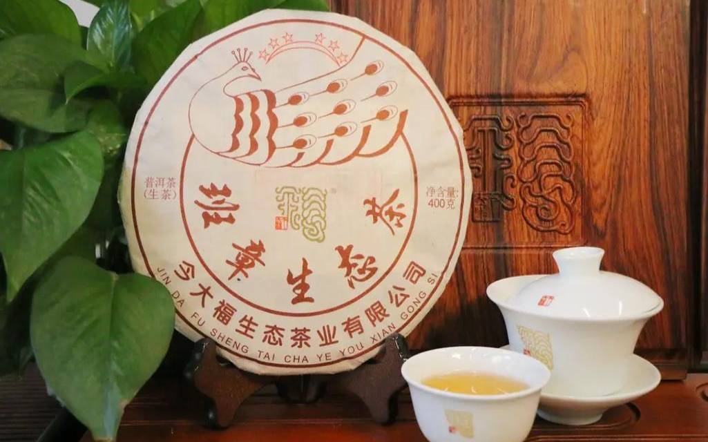 福今普洱茶代理商,福今普洱茶和今大福 福今普洱茶代理商,福今普洱茶和今大福