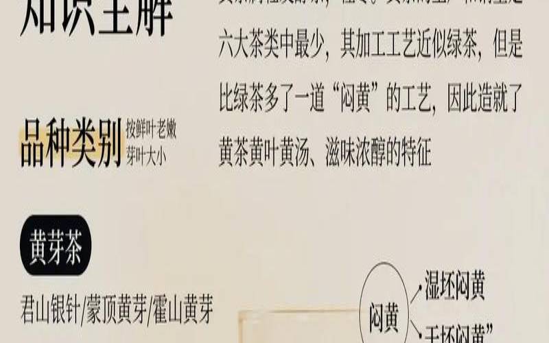 黄茶的药用价值,喝黄茶有什么好处和坏处