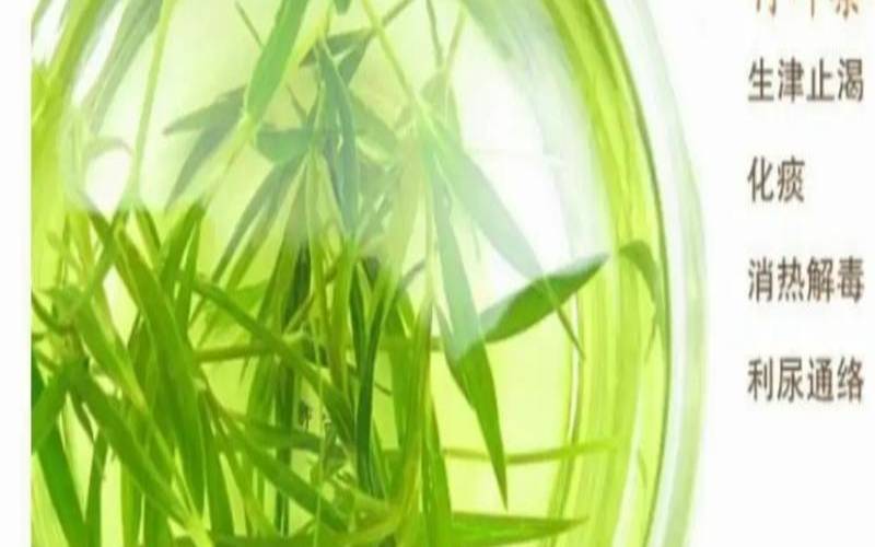喝什么茶止渴生津,口干舌燥吃什么生津止渴 喝什么茶止渴生津,口干舌燥吃什么生津止渴