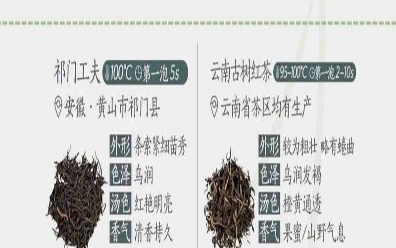 中国茶叶代码,各种茶叶代号 中国茶叶代码,各种茶叶代号