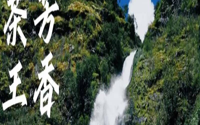 无量山的茶小众茶，无量山茶属于哪个茶区