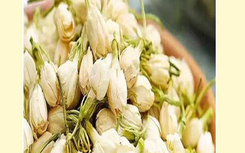 什么季节适合喝茉莉花,春天喝茉莉花茶