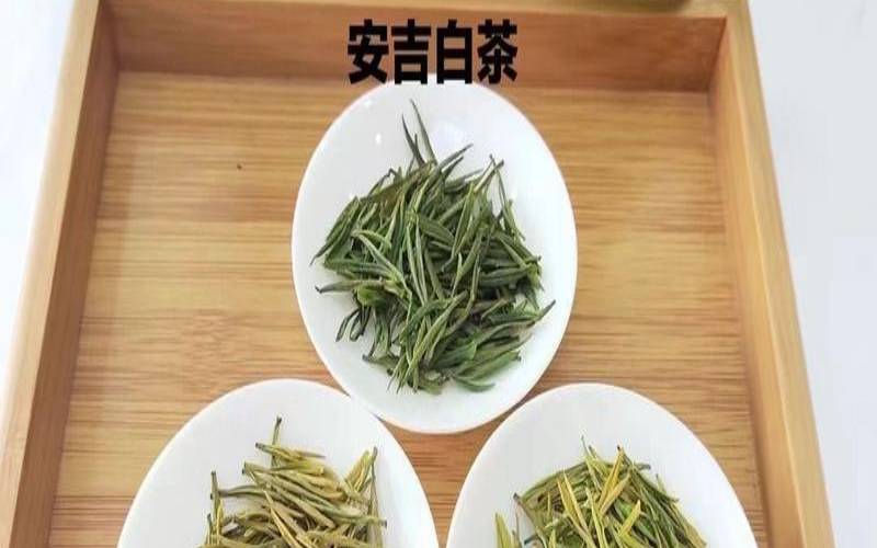 安吉白茶新茶和陈茶的区别,安吉白茶怎么样辨别好坏 安吉白茶新茶和陈茶的区别,安吉白茶怎么样辨别好坏