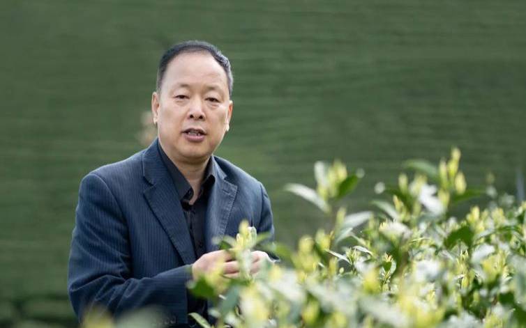 杭州茶叶协会会长,浙江省茶叶产业协会 杭州茶叶协会会长,浙江省茶叶产业协会