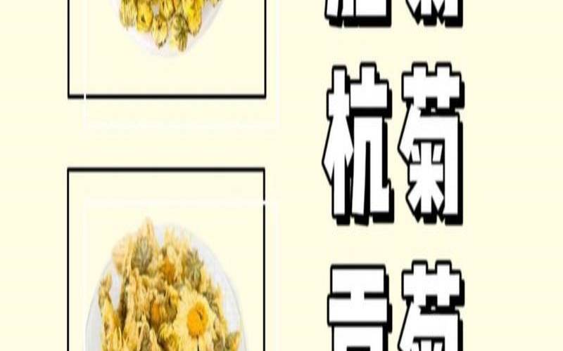 杭菊贡菊胎菊功效的区别,胎菊和贡菊哪个好 杭菊贡菊胎菊功效的区别,胎菊和贡菊哪个好