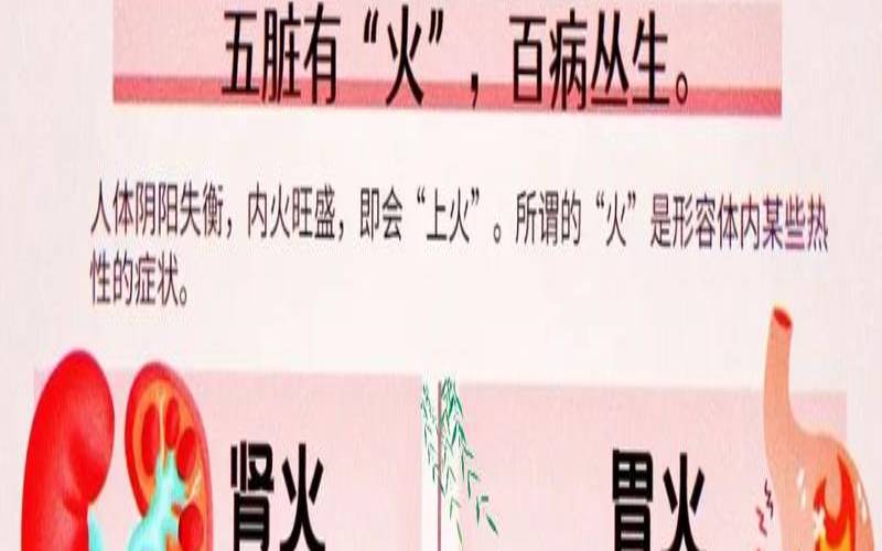 上火的时候喝什么茶下火,荞麦茶上火还是下火 上火的时候喝什么茶下火,荞麦茶上火还是下火