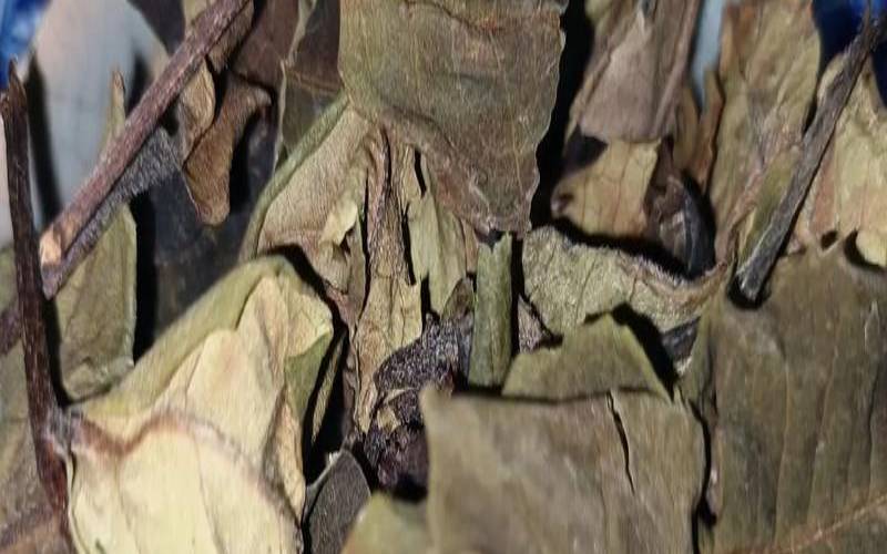寿眉是白茶里最差的吗,寿眉白茶好喝吗 寿眉是白茶里最差的吗,寿眉白茶好喝吗