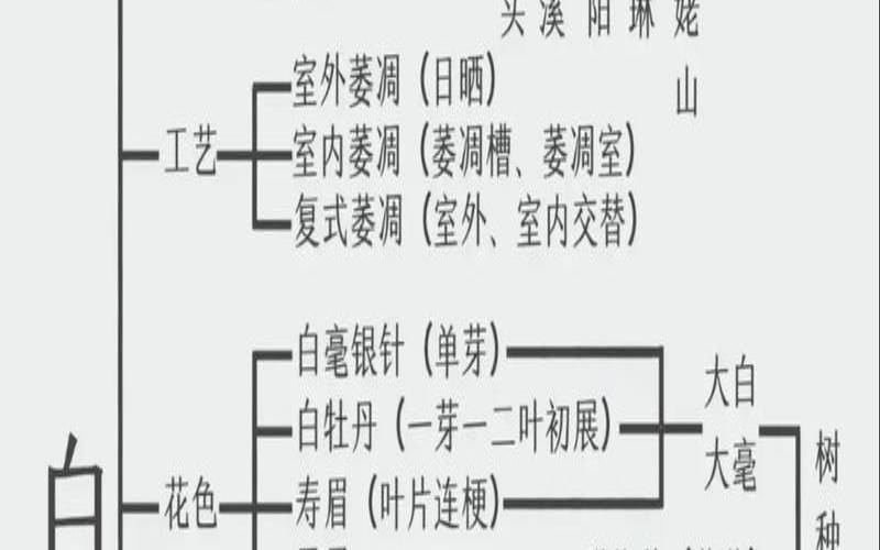 关于白茶的常识你可得懂一些,讲讲白茶的知识 关于白茶的常识你可得懂一些,讲讲白茶的知识