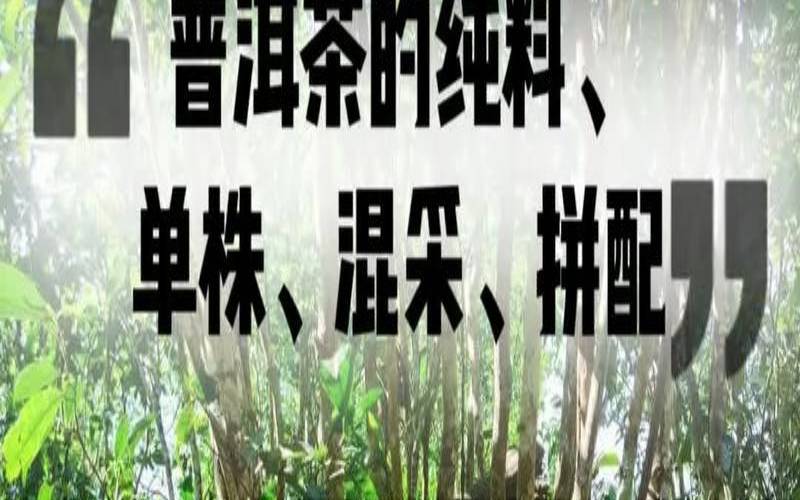 普洱茶挑采和混采,普洱茶工具有哪些