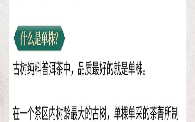 普洱茶古树单株是什么意思,古树茶属于普洱茶吗 普洱茶古树单株是什么意思,古树茶属于普洱茶吗