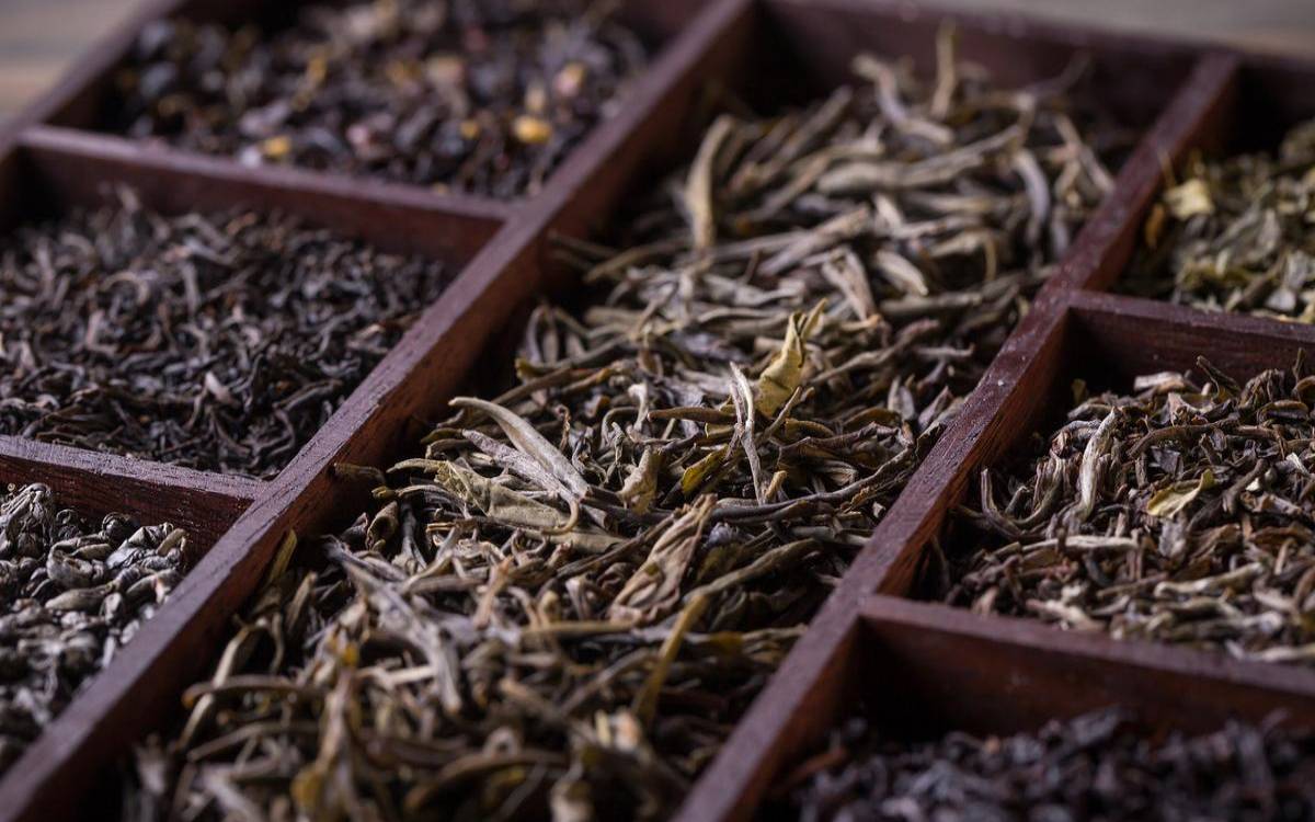 普洱茶毛茶原料等级,普洱茶7262是什么意思