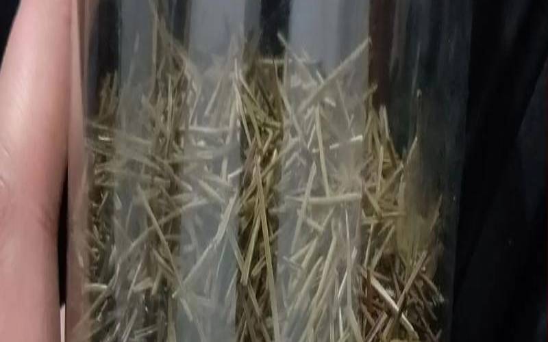 松罗茶的功效与作用,松针茶有什么功效和作用 松罗茶的功效与作用,松针茶有什么功效和作用
