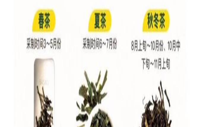 花草茶储存方法,花草茶怎么泡 花草茶储存方法,花草茶怎么泡