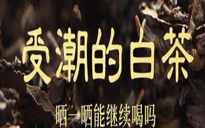 茶叶有点受潮可以晒太阳吗,茶叶有点潮能不能晒 茶叶有点受潮可以晒太阳吗,茶叶有点潮能不能晒
