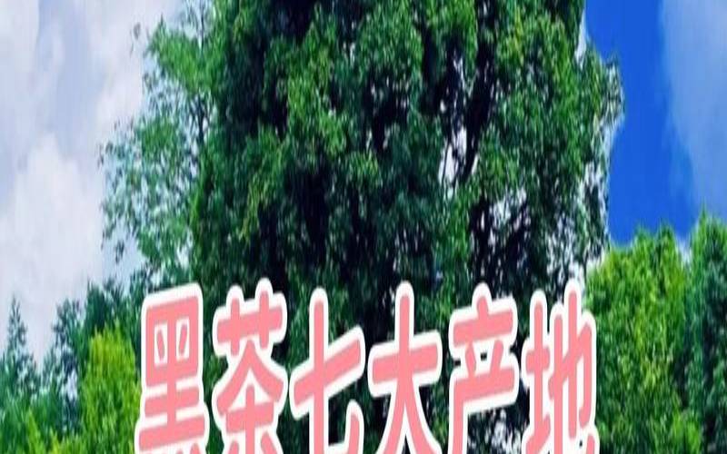 少数民族喝黑茶,黑茶的主要代表茶类 少数民族喝黑茶,黑茶的主要代表茶类