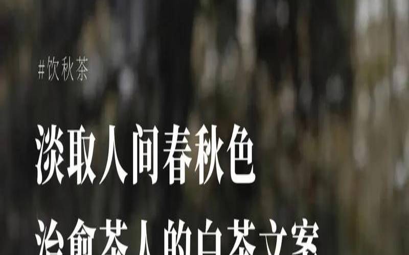 关于茶π的文案,最走心的茶叶文案 关于茶π的文案,最走心的茶叶文案