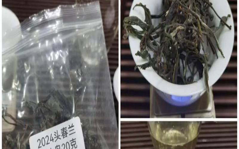 普洱茶的兰花香是个什么味,兰韵普洱茶价格表 普洱茶的兰花香是个什么味,兰韵普洱茶价格表