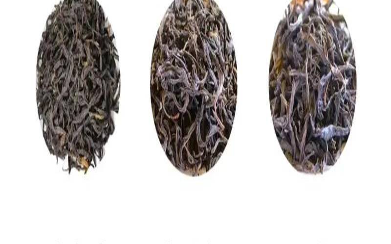 什么是凤凰单丛茶,凤凰单丛有多少品种 什么是凤凰单丛茶,凤凰单丛有多少品种