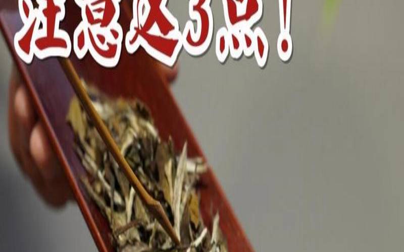 白牡丹饼茶冲泡方法窍门,怎样冲泡白茶 白牡丹饼茶冲泡方法窍门,怎样冲泡白茶