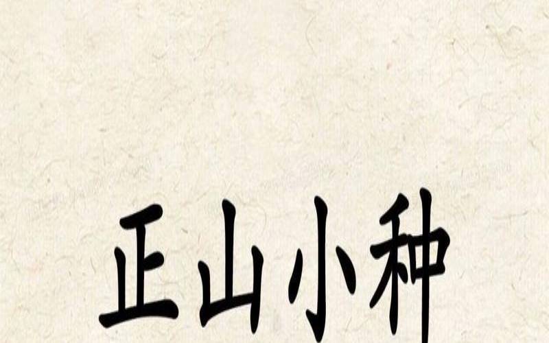 正山小种茶叶的功效与作用,正山小种的特点和功效 正山小种茶叶的功效与作用,正山小种的特点和功效