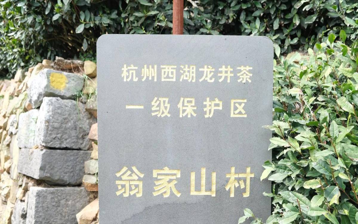 狮峰龙井在龙井茶的地位,狮峰茶叶和西湖龙井哪个好 狮峰龙井在龙井茶的地位,狮峰茶叶和西湖龙井哪个好