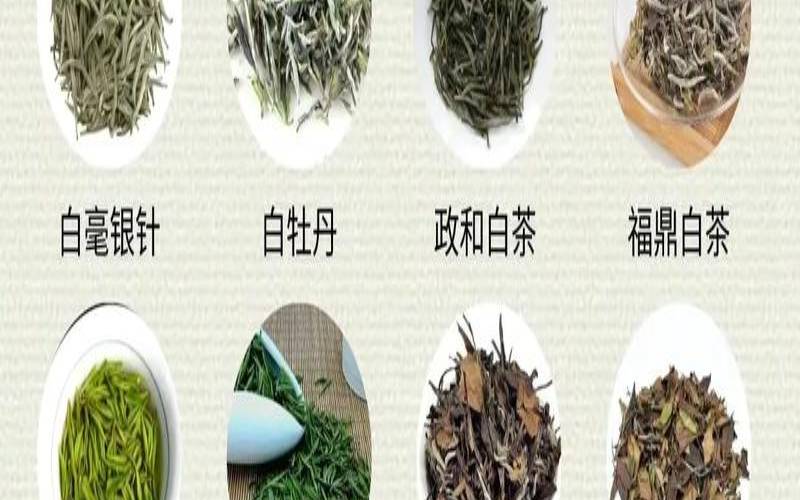 关于白茶的茶文化主题,关于茶文化的社会实践报告 关于白茶的茶文化主题,关于茶文化的社会实践报告