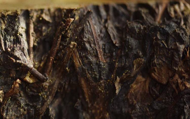 黑茶茯砖花砖青砖黑砖区别,安化黑茶花砖和黑砖的区别