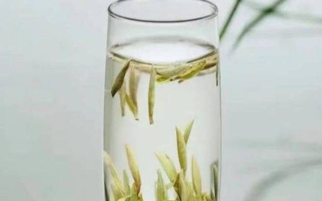 喝白茶为什么会拉肚子,喝白茶拉肚子是在排毒吗 喝白茶为什么会拉肚子,喝白茶拉肚子是在排毒吗