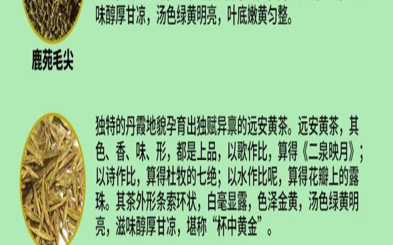 莫干黄芽属于黄茶吗,莫干黄芽品牌有哪些 莫干黄芽属于黄茶吗,莫干黄芽品牌有哪些