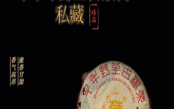 普洱茶千年古树村,古树普洱茶多少钱