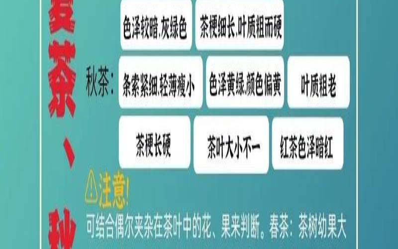 春茶好在哪好在这12个方面,春茶跟秋茶的区别 春茶好在哪好在这12个方面,春茶跟秋茶的区别