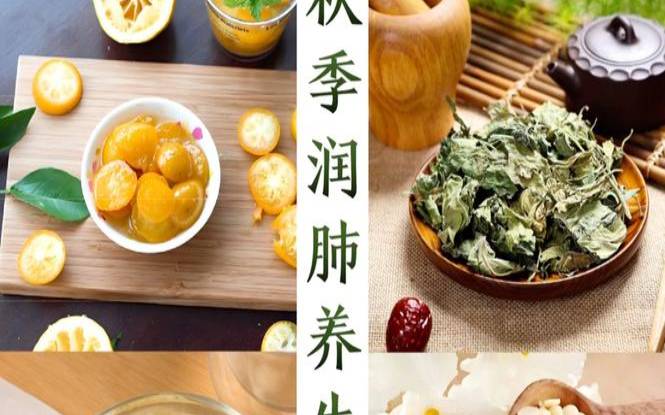秋天吃什么养生茶最好,秋天喝什么养生茶最好