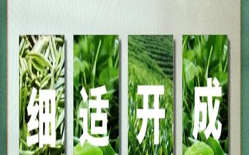 乌龙茶采摘标准,采茶叶一天能采多少斤 乌龙茶采摘标准,采茶叶一天能采多少斤