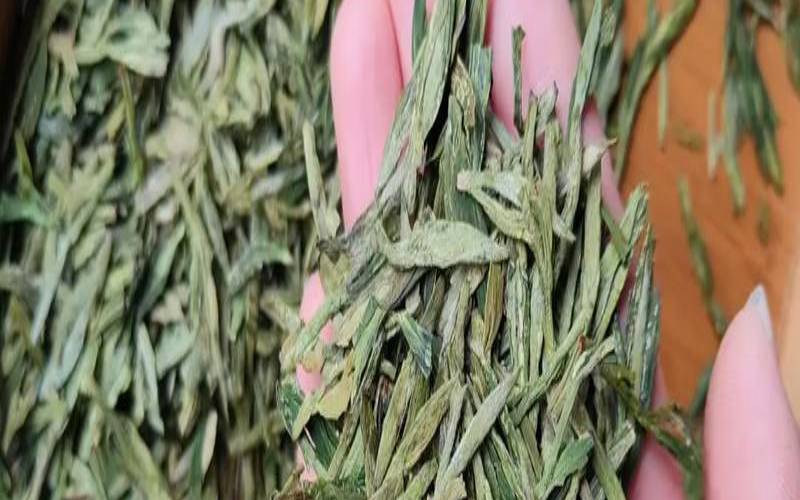 宝洪茶和龙井的区别在哪,龙井雨前和明前的区别 宝洪茶和龙井的区别在哪,龙井雨前和明前的区别
