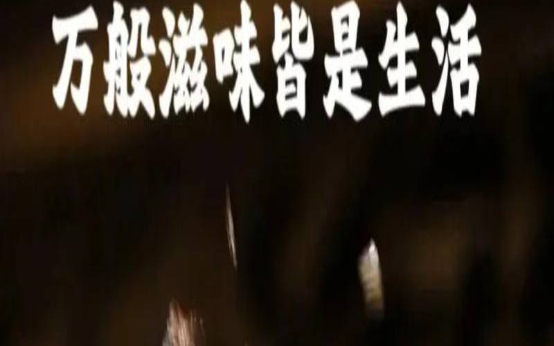 一杯茶品味人生沉浮下一句,普洱生茶的心得感悟