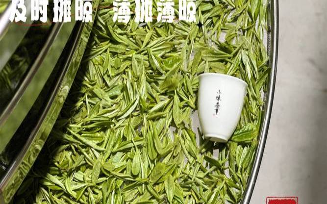 为什么新茶不耐泡,茶叶泡水不变色是好茶叶吗