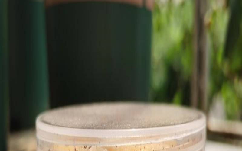 茶叶水怎样发酵浇花,泡过的茶叶可以当花肥吗 茶叶水怎样发酵浇花,泡过的茶叶可以当花肥吗