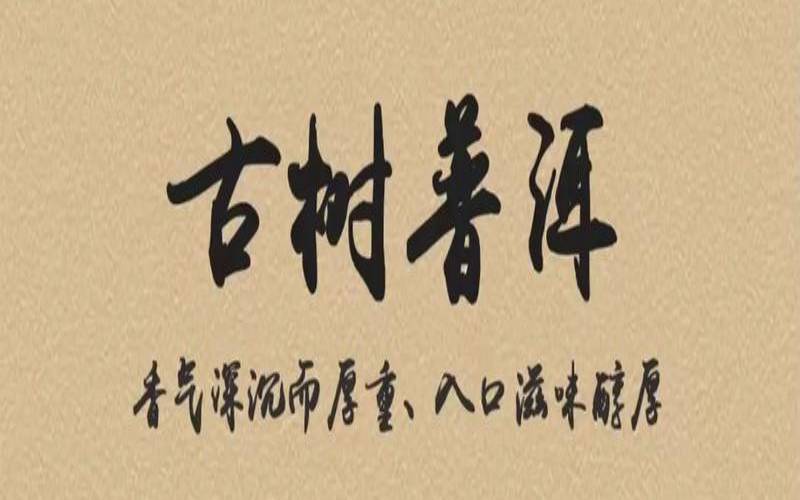 如何判断普洱茶是不是古树,普洱古树茶的一二三类