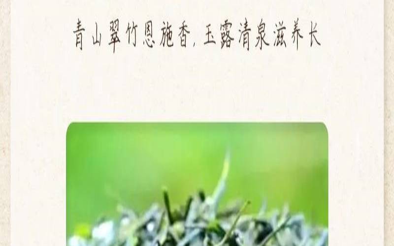 恩施玉露怎么泡才好喝,恩施玉露的功效 恩施玉露怎么泡才好喝,恩施玉露的功效