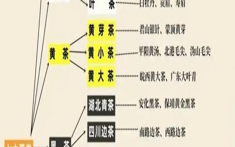 普洱市有普洱茶吗,普洱属于什么茶