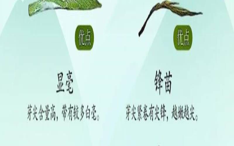 形容普洱茶的专业术语,形容普洱茶好喝的专业术语 形容普洱茶的专业术语,形容普洱茶好喝的专业术语