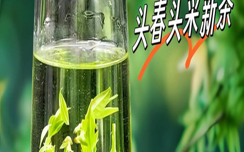 浮生若茶普洱茶的价格,浮生若茶官网 浮生若茶普洱茶的价格,浮生若茶官网