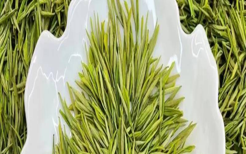 安吉白茶显著特点,安吉白茶有几种形状 安吉白茶显著特点,安吉白茶有几种形状