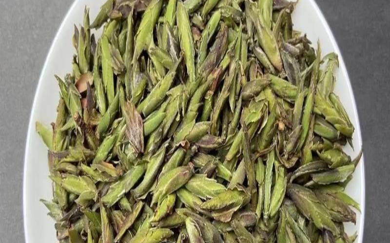 普洱茶芽孢是普洱茶吗,云南芽孢茶属于什么茶 普洱茶芽孢是普洱茶吗,云南芽孢茶属于什么茶