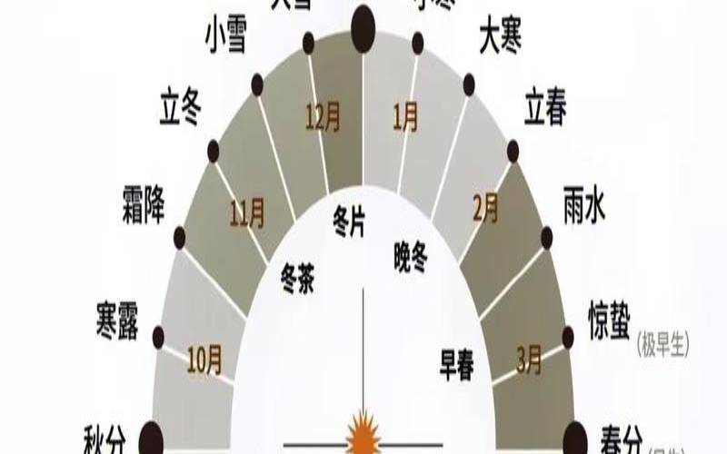 普洱茶什么时候开始,普洱茶采茶在几月份